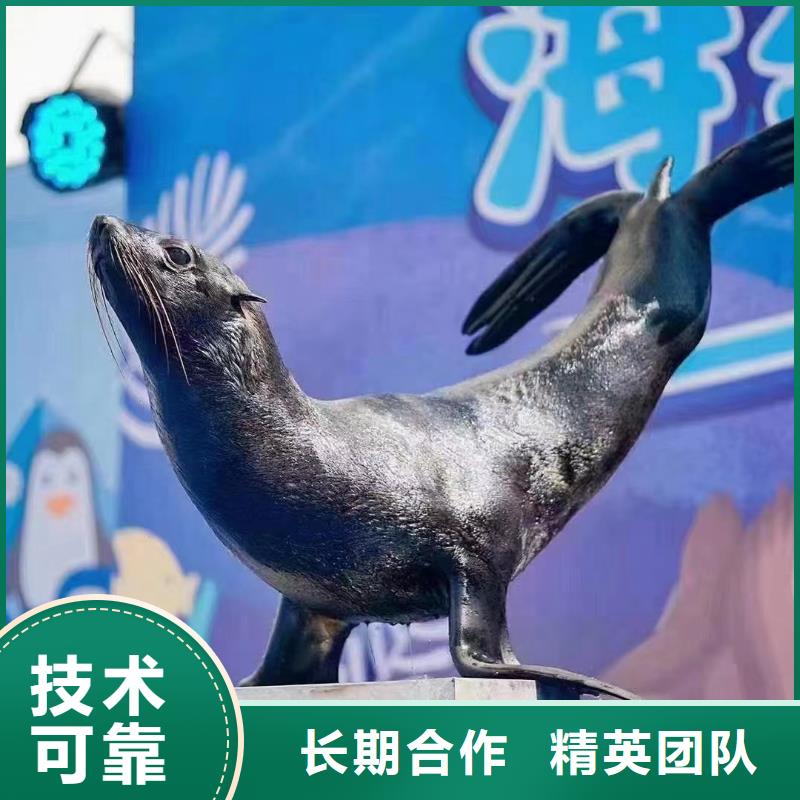 企鹅租赁联系方式解决方案