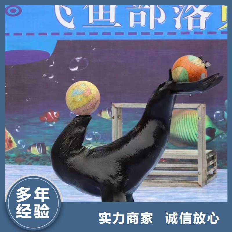 海洋生物展出租一手资源良好口碑