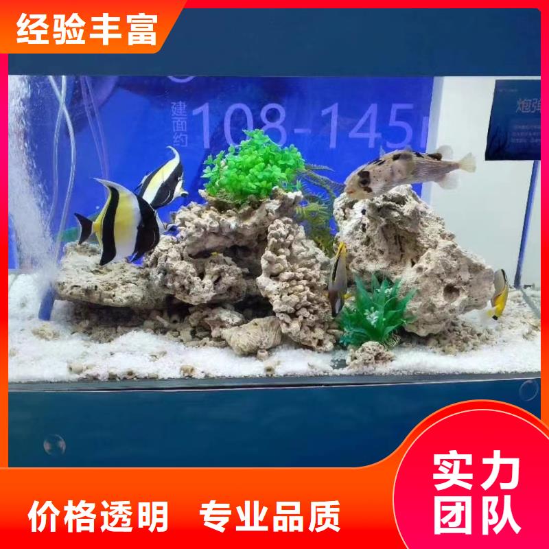 海洋生物展出租行业口碑好