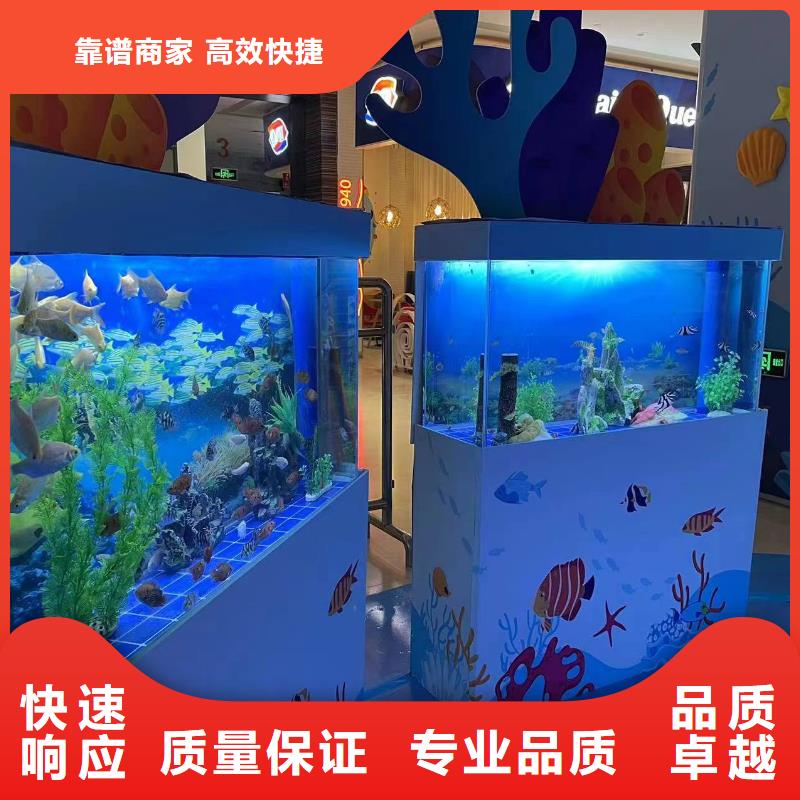 靠谱的海洋生物展出租供货商实力雄厚