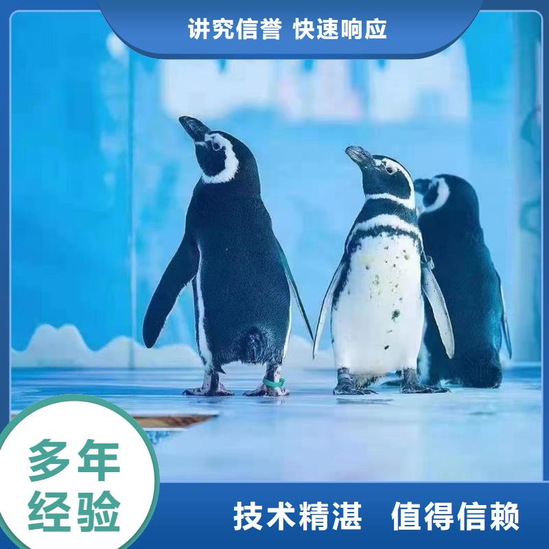 海洋生物展出租厂家资质齐全收费合理