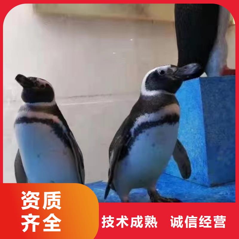 海洋生物展出租公司活动图片当地生产厂家