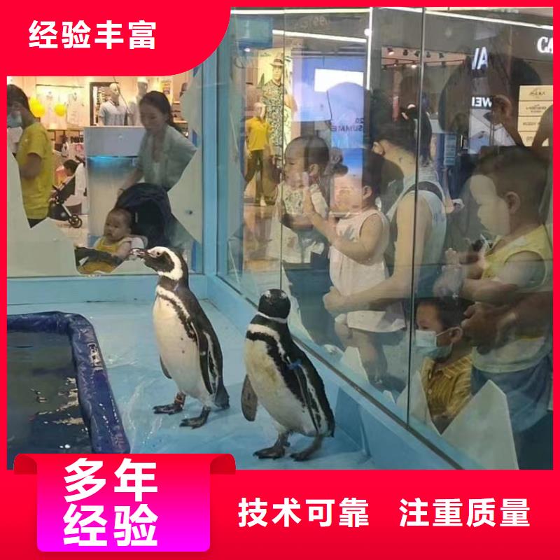 海洋生物展出租一手资源高品质