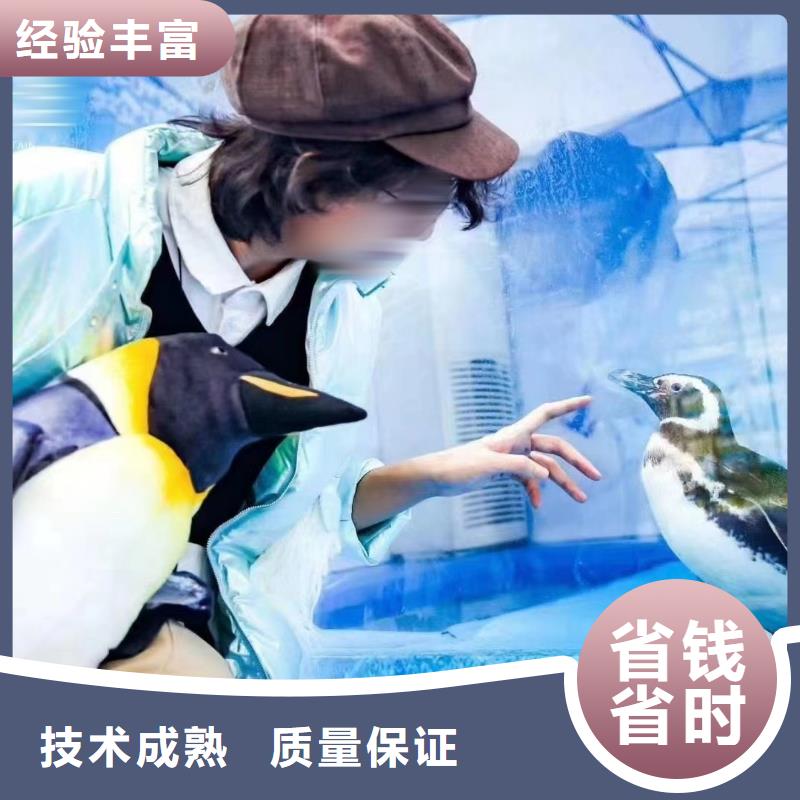 海洋生物展租赁当地供应商