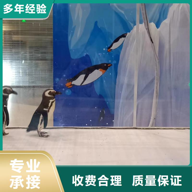 海洋生物展出租正规团队