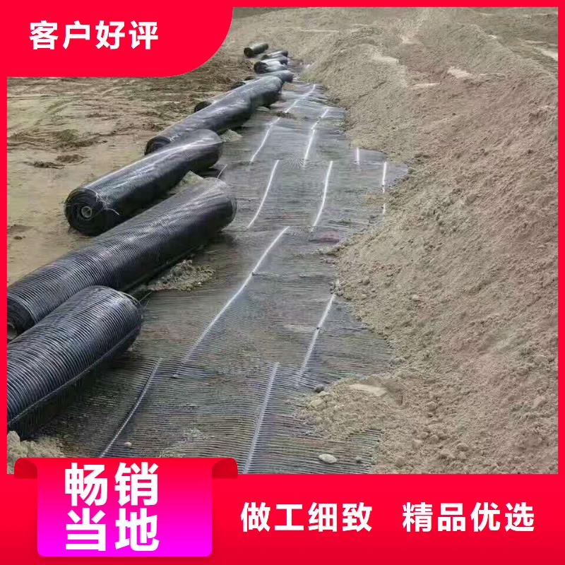 塑料土工格栅厂家现货当地经销商