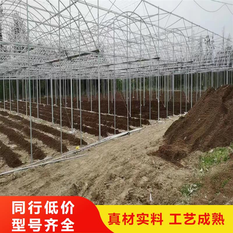 中草药大棚良心厂家金荣圣大棚厂家规格全