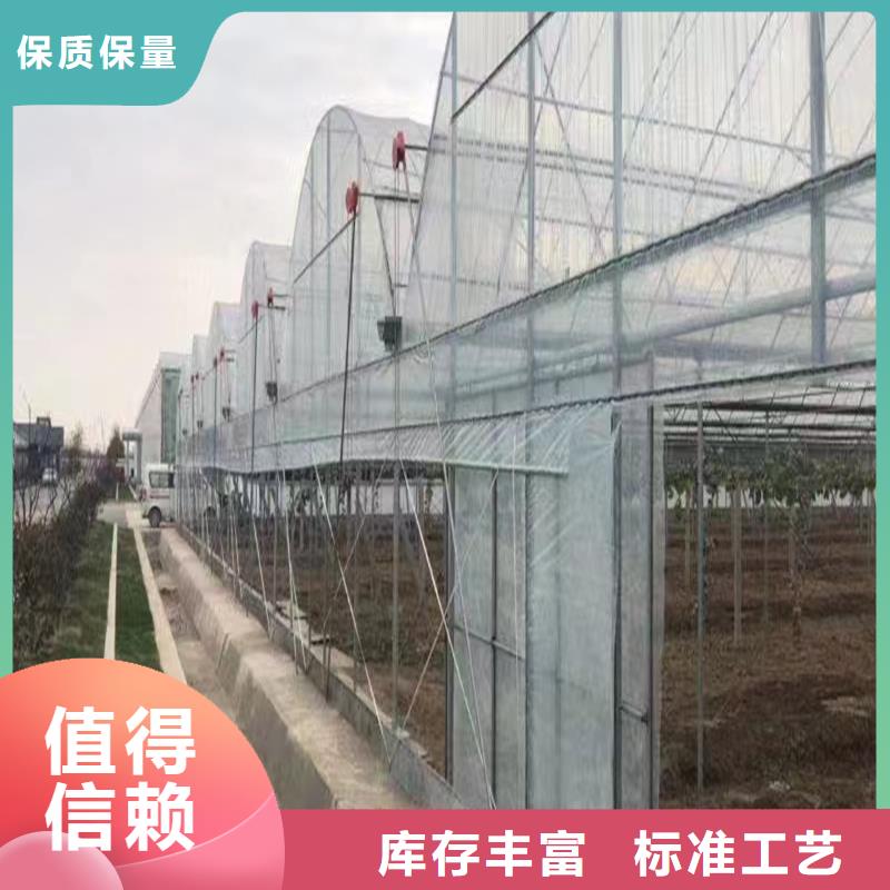 连栋温室大棚图片供应厂家当地公司