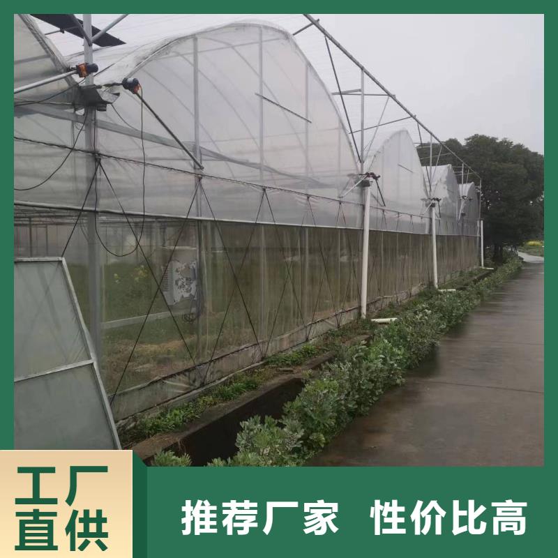 草莓大棚管价格优惠质量无忧