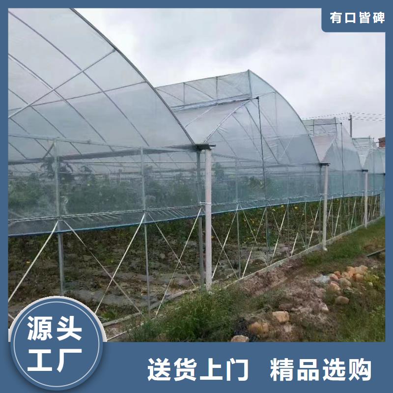 名山县连栋大棚每平方价格【修饰词应用领域