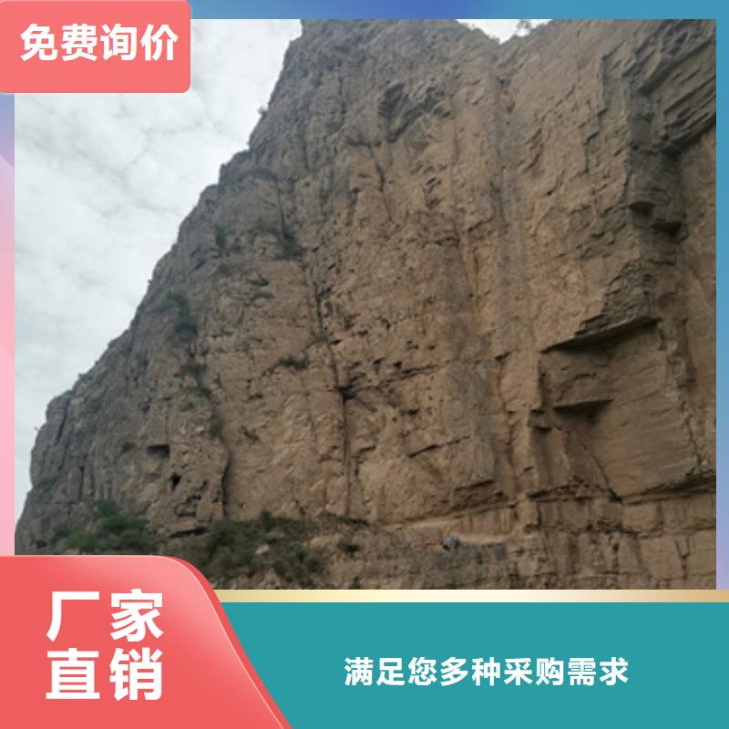 发货及时的进口发电机出租公司适用场景