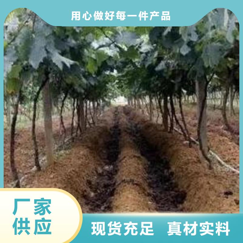 发酵鸡粪减少污染工厂现货供应