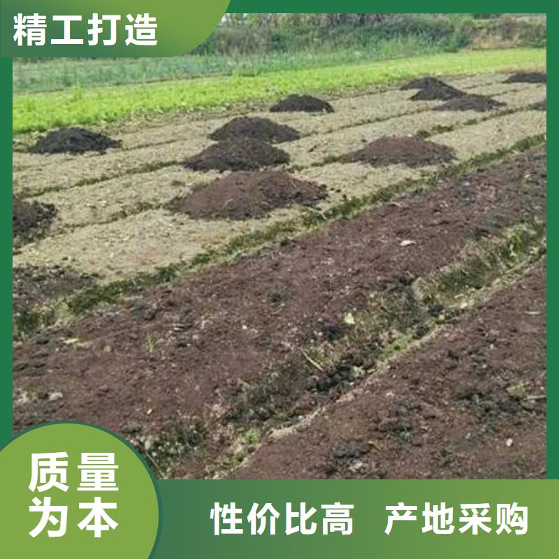 干鸡粪助力生态本地制造商