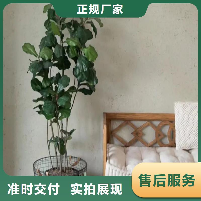 生态稻草漆怎么加盟价格优惠同城品牌