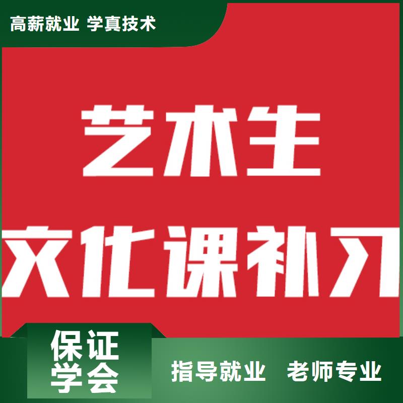 县艺考文化课补习学校有哪些？
学真技术