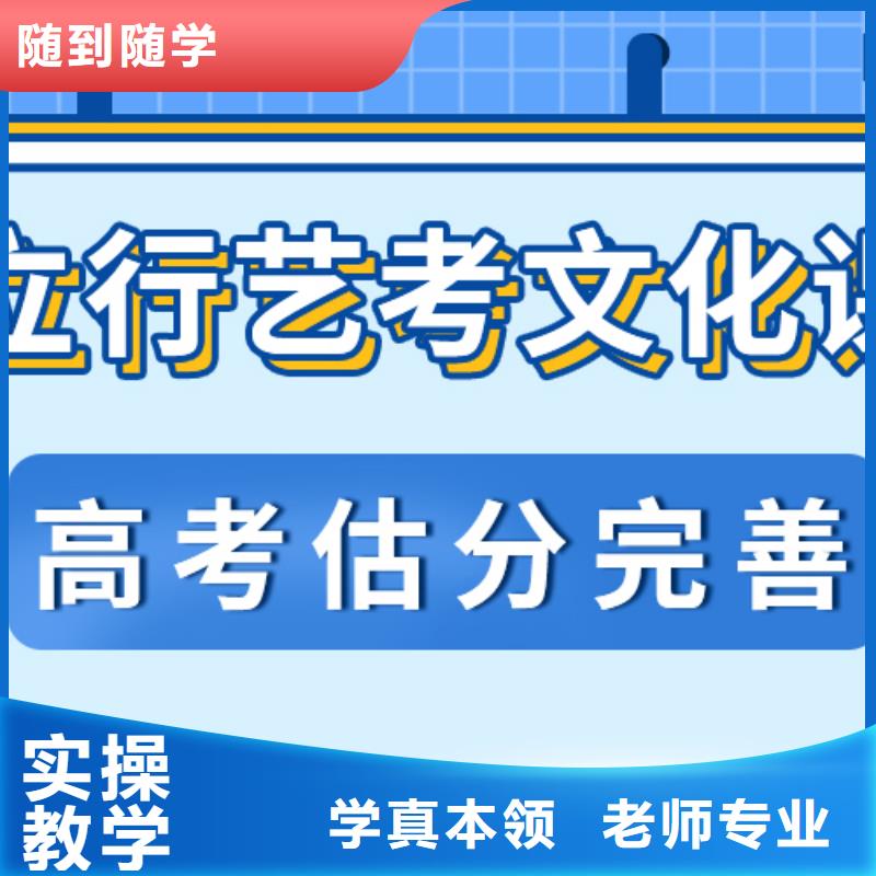 
艺考文化课冲刺班有哪些？
本地公司