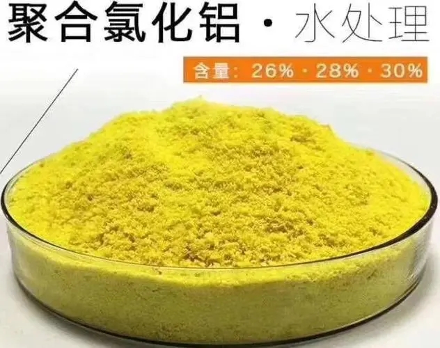 滚筒式PAC来厂考察