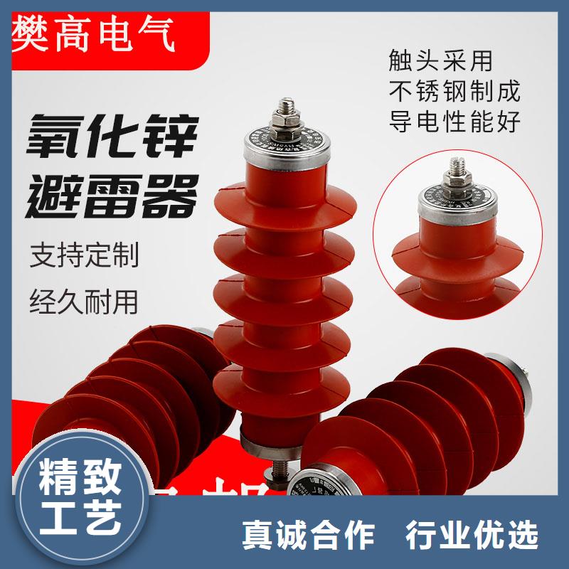 JSY-10避雷器计数器质优价廉