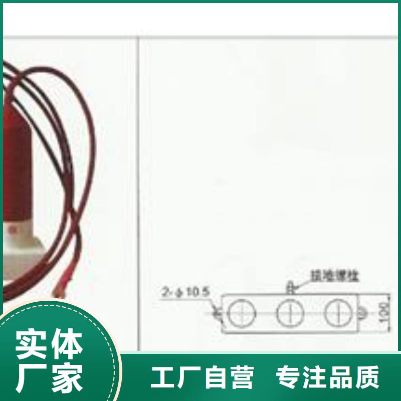 JCQ-C-3C避雷器放电计数器价格实体诚信厂家