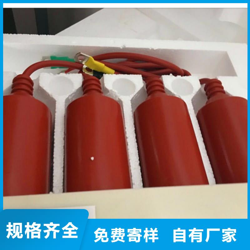 TBP-B-12.7F/131避雷器用保护器产品优势特点